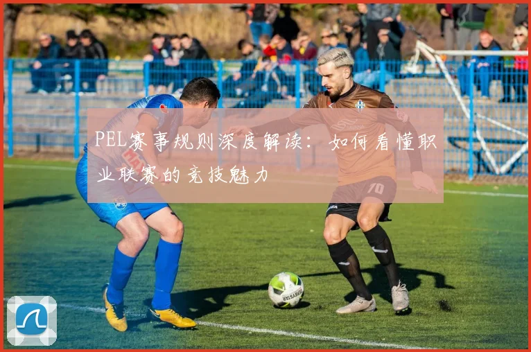 PEL赛事规则深度解读：如何看懂职业联赛的竞技魅力